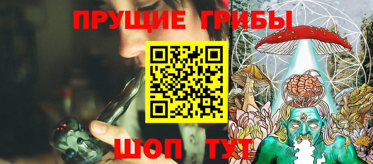 Псилоцибиновые грибы GOLDEN TEACHER  Вход с VPN  Сердобск  Галлюциногенные грибы MAGIC MUSHROOMS 